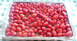 fraises à congeler