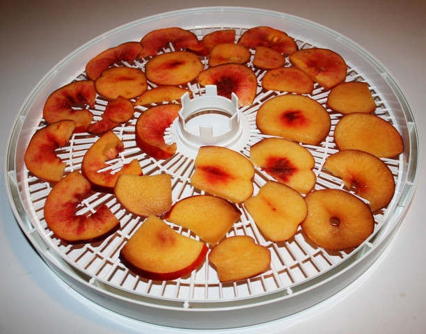 Abricots déshydratés avant